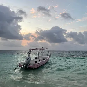 Home's Jungle Puerto Morelos 20 Minutes From The Airport Gasthof
